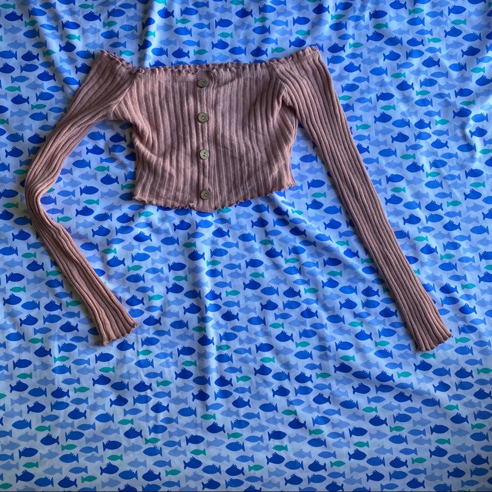Light Pink Long Sleeve Crop Top